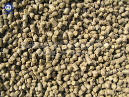 平模造粒機組合生產(chǎn)線顆粒